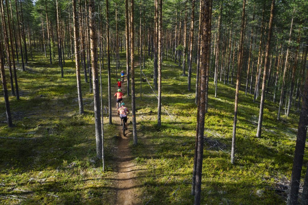 Nelihenkinen perhe maastopyöräilee metsäpolulla kesällä, ylhäältä kuvattu.