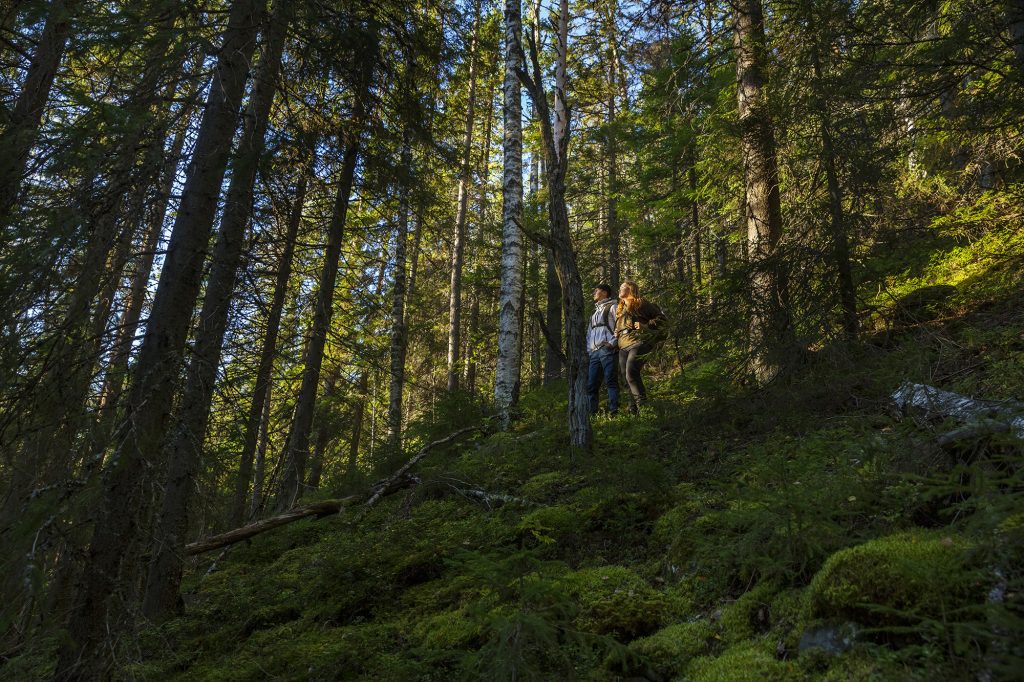 Nuori mies ja nainen katsovat metsämaisemaa ylhäällä rinteessä.