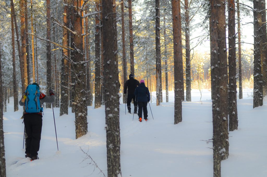 Hiihtoretki metsässä