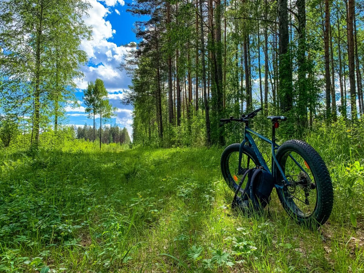 Kontionpolut kutsuvat!