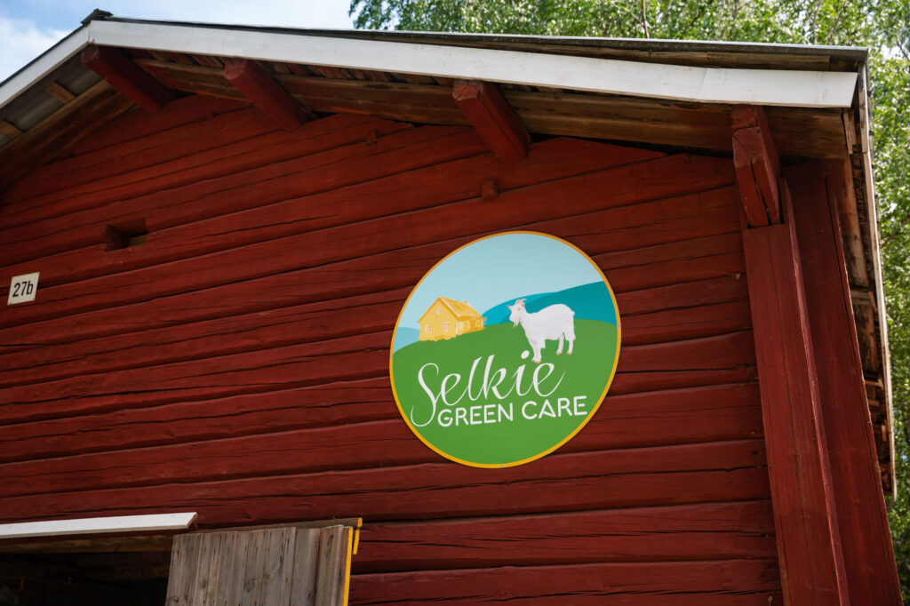 Selkie Green Caren kyltti punaisessa hirsirakennuksessa.