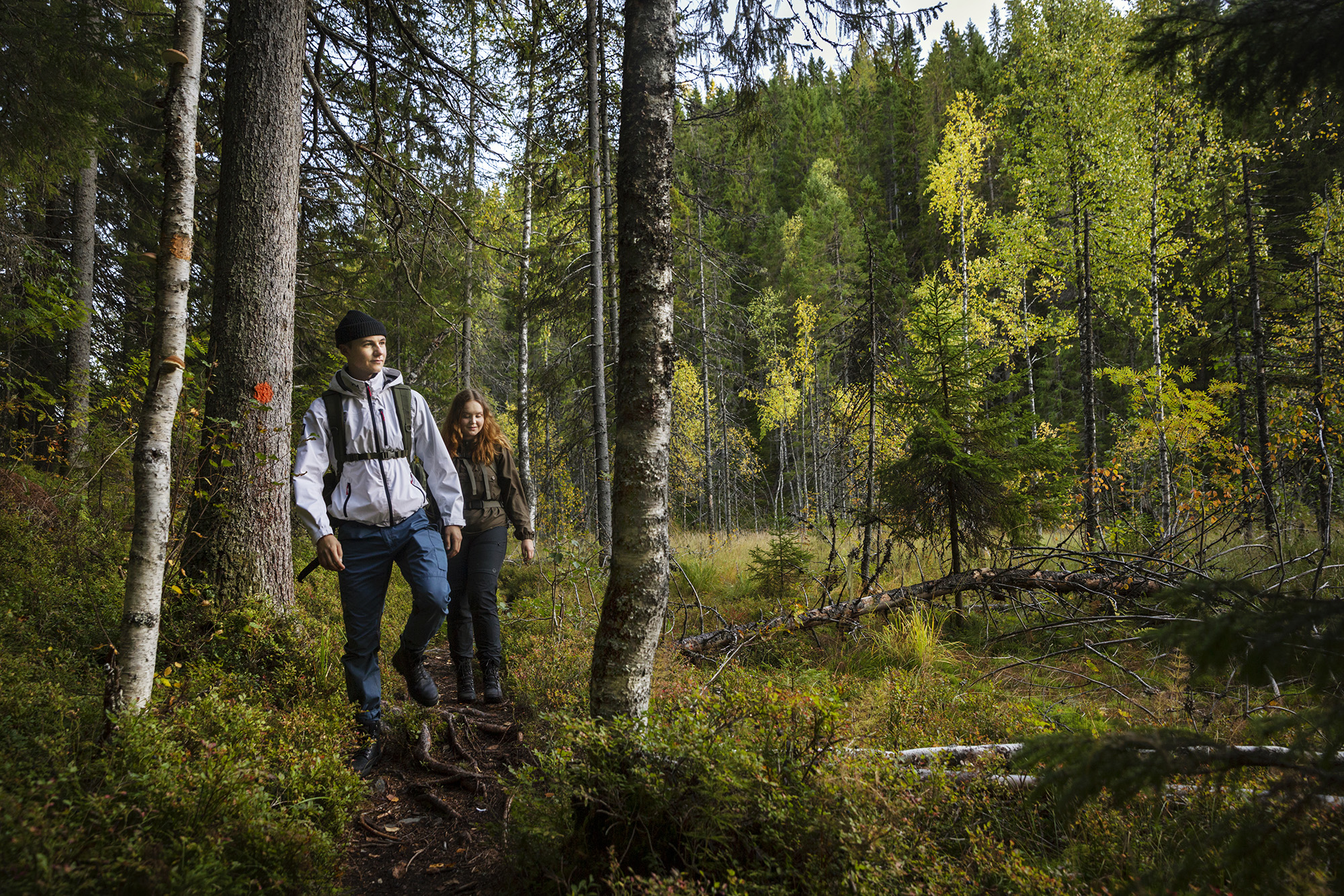 Kolva­na­uuro