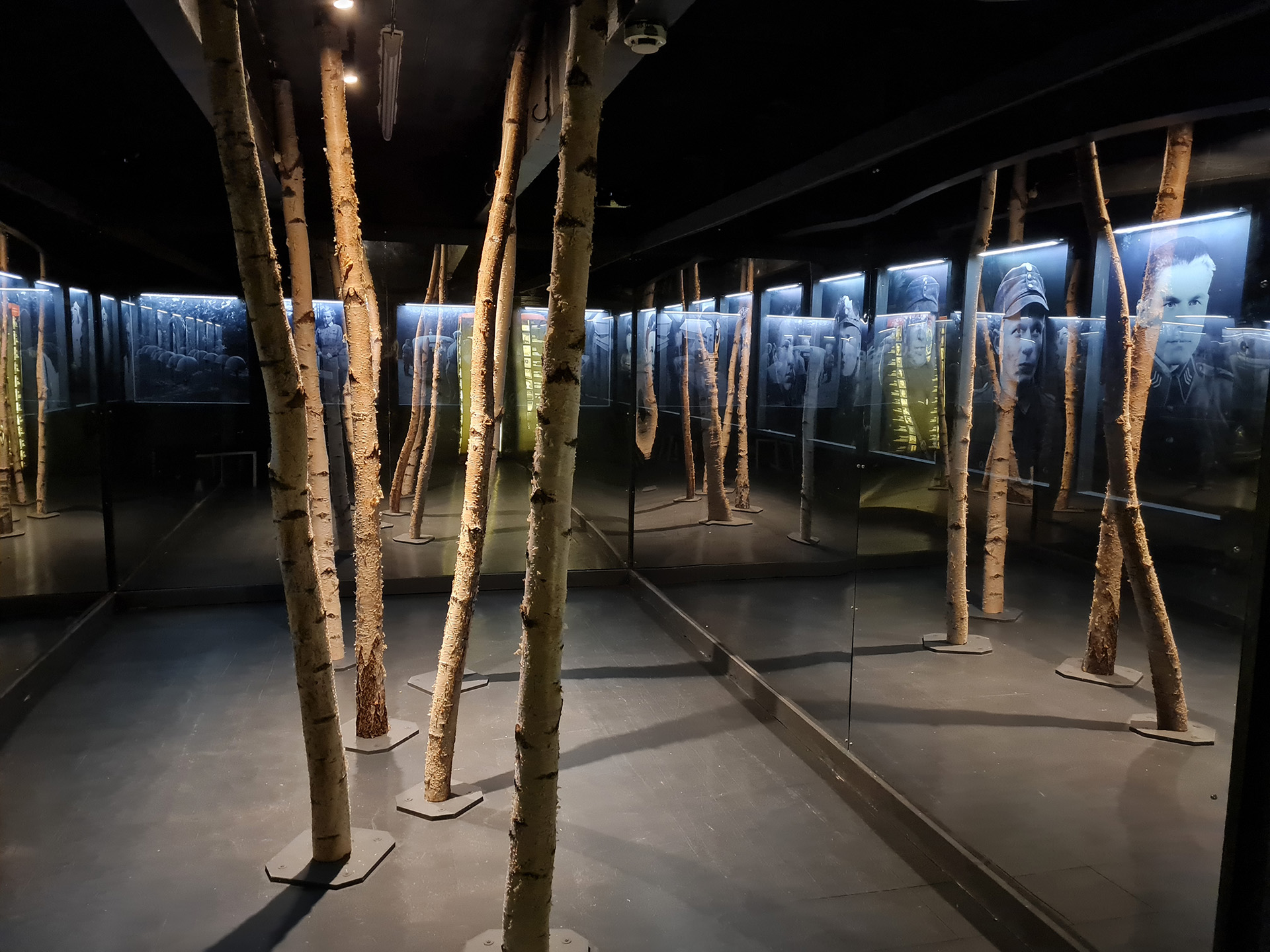 Muistojen Raja -museon muistojen metsä -huone kuvattuna. 