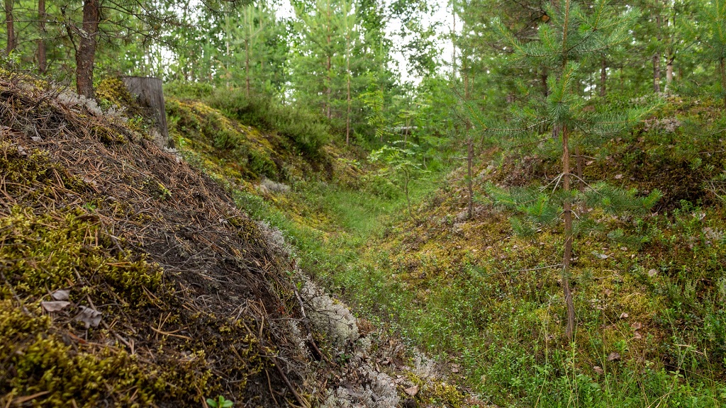 Lehmo-Kylmäoja