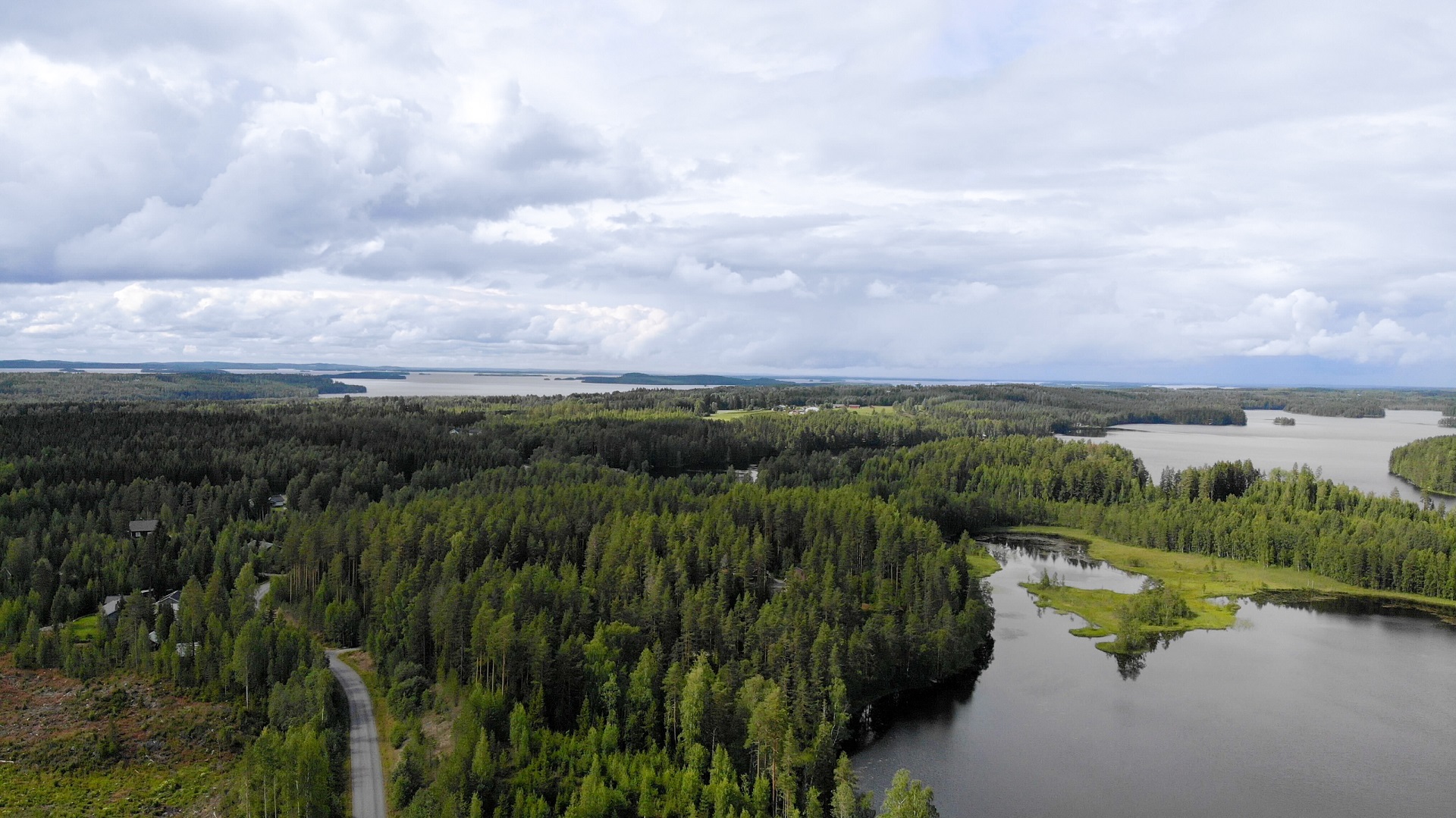 Pyyti­vaara