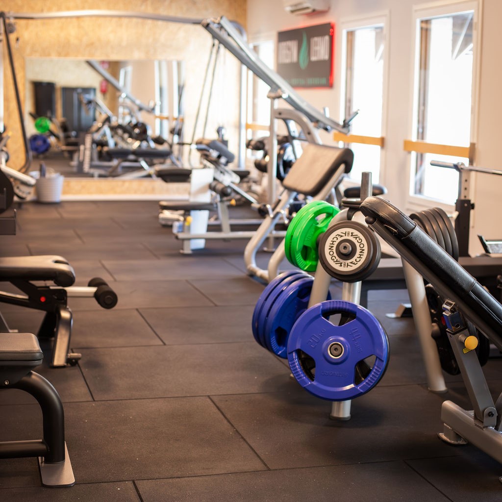 VireGym Lehmo