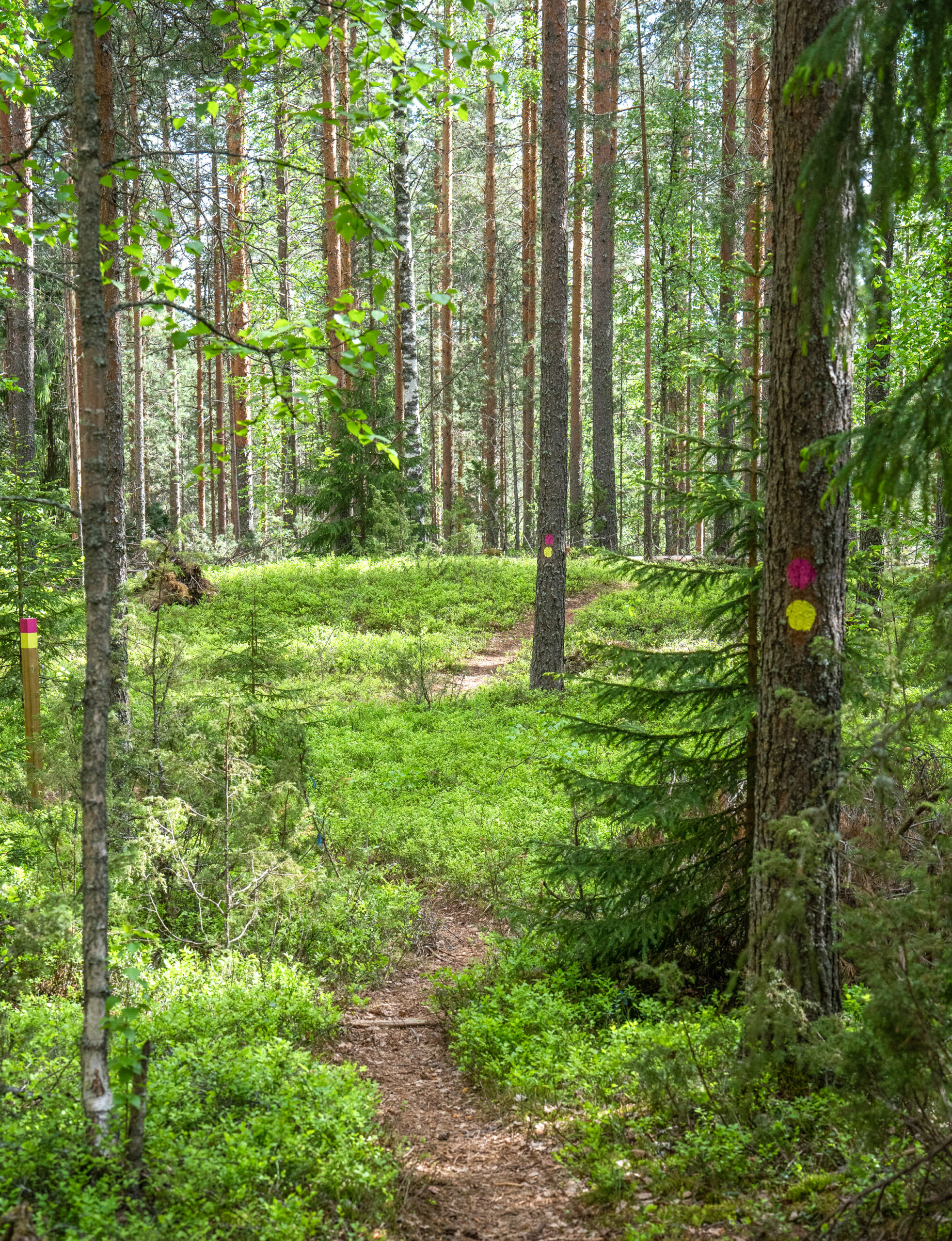 Maastopyöräilijä — minne menet?
