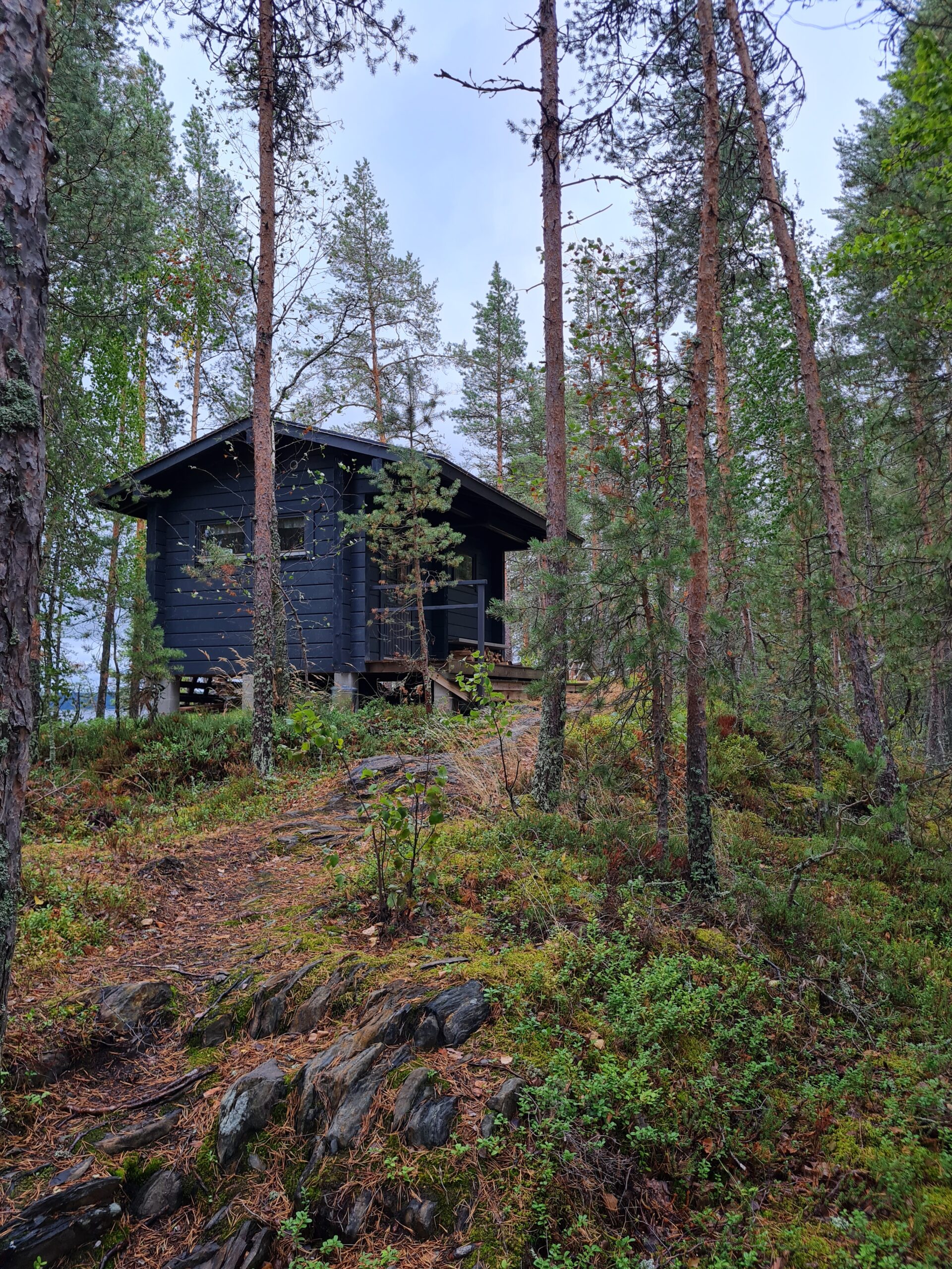 Höytiäisen kätketty aarre — kalasaunat