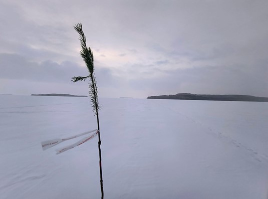 Talven poluilla – Salpalinjan metsästä Höytiäisen selälle